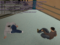 залл сс3.png