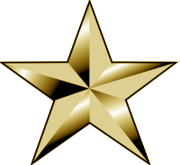 SAHP: Assistant Chief
