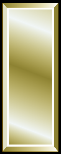 SAHP: Lieutenant