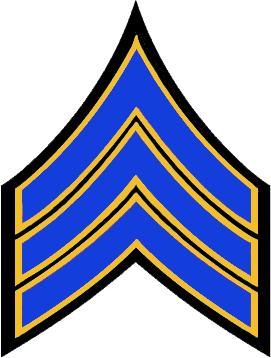 SAHP: Sergeant