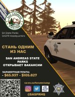 sngine_bfdaf04d1557aa05cce76da247f58855.jpg
