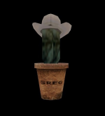 ss49.png