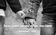 patsanskie-tsitatyi_.jpg