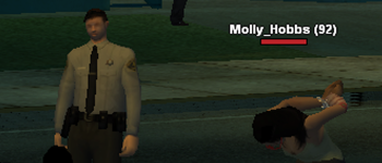 ss70.png