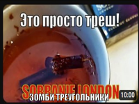 1753837019796.png