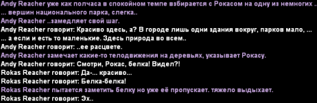 13.png