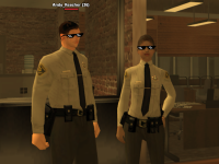 SS9.png