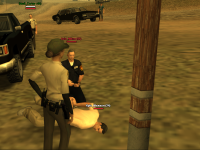 SS11.png