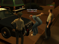 SS3.png