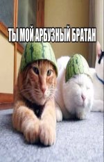 ihR310Ebh2QVrWP6XpZBk95_ugF_LCKeyxEArHjchWFVYgdGy8tbYP8_9Sk8EkgHWKkZKlIQ7Coi3GWhV-Zn2o8r.jpg