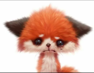 1757778833482.png