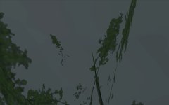 e0k-Evp-J2-AIU.jpg