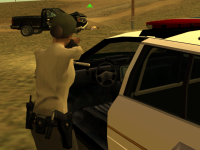 SS10.png