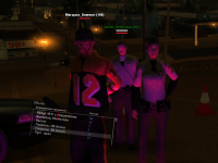SS12.png