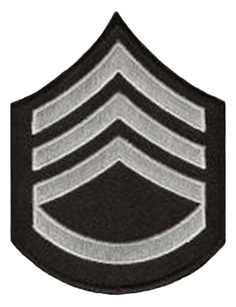 SGT-2 LSPD: SGT-2