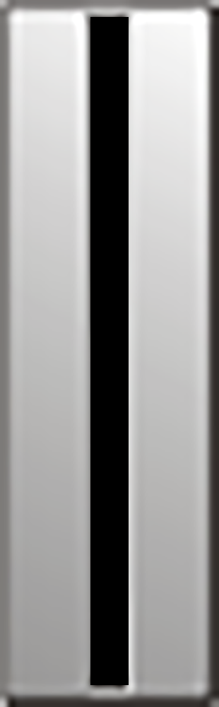 SANG: CW2–CW5: Chief Warrant Officers