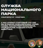 1780507127170.png