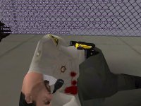 Five.jpg