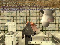 Twalve.jpg