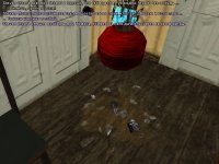 Five.jpg